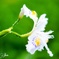 20170409 No Title