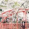 中目黒 お花見