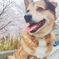 今年も
