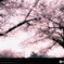 545C1BDB-71F2-4099-939A-E84A408B4503