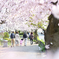 桜道
