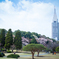 Sakura and the City