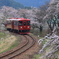 長良川鉄道と桜②