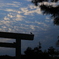 烏と鳥居