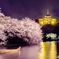 観桜の夕べ