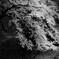 千鳥ヶ淵B&W-3