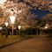 湊山公園桜まつり