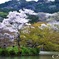 御船山楽園2