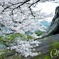 御船山楽園3