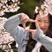 カメラ女子の花見