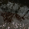 水面の桜