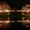 小湊鉄道　夜桜と水鏡