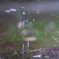 大雨注意報