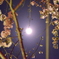 夜桜