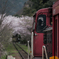 嵯峨野トロッコ列車