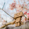 桜とダンボー
