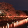 倉敷  酒津公園   夜桜