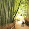 竹林と親子連れ