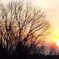 DSCF0093