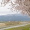 小川河畔にて