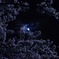夜桜