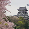 犬山城　昼