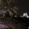 犬山城　夜