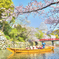 桜舞う姫路城 #3