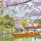 桜舞う姫路城 #4