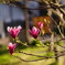 DSC00507