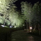 日本庭園