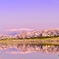 蔵王連峰と一目千本桜と白石川