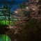 新潟県:高田公園