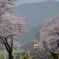樽見鉄道　朝霧の木知原駅