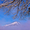 山中湖