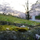 DSC00220