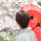着物と桜