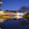 夜中の観桜会