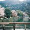 春の京都 嵐山