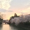 京都岡崎