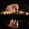 円山公園にて