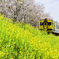 いすみ鉄道_DSC1407