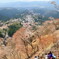 春色の山