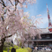 Spring of Zojoji temple