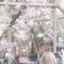 ふんわり春
