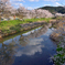 宇陀川桜並木