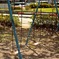 さくら公園