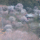 奈良の奥座敷