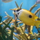 しながわ水族館