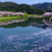 流れゆく季節